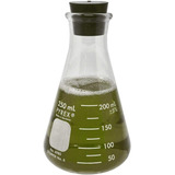 Frasco Erlenmeyer Boca Estreita Vidro Boro 250ml - Pyrex