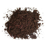 Frete Gratis 200 Minhocas Californianas Compostagem Flores 