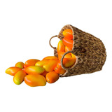 Frutas Decorativas Kit Com 10 Para