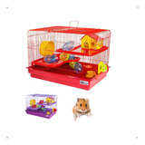 Gaiola Aramada Para Hamster Com Casinha