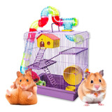 Gaiola De Hamster Com Casa Grande Completa 3 Andares Tubo Cor Lilás
