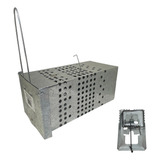 Gaiola Grande Com Mola Chapa Galvanizada + 1 Ratoeira Peq