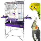 Aves