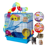 Gaiola Hamster Casinha Comedouro Big Space