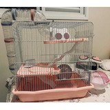Gaiola Hamster Labirinto Safari Gigante