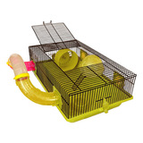 Hamster