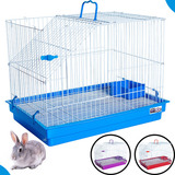 Gaiola Para Coelho Porquinho Da India E Conforto Para O Pet Cor Azul