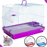 Gaiola Para Coelho Porquinho Da India E Conforto Para O Pet Cor Lilás