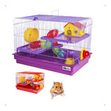 Gaiola Portátil Hamster 2 Andares Luxo Com Tubulação E Roda