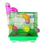 Hamster