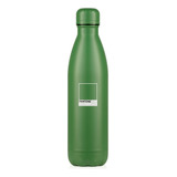 Oliva