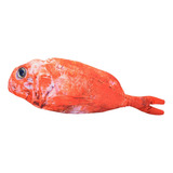 Gato Brinquedo Eletrônico 3d Carregamento Peixe Vermelho