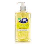 Gel Antisséptico Hidratante Verbena 438g Hi Clean 