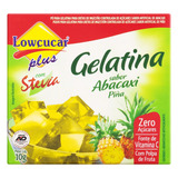 Gelatina Pó Com Stevia Abacaxi Zero