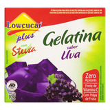 Gelatina Pó Com Stevia Uva Zero