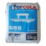 Gesso Cola De 5kg Saco Padrão Para Revestimentos