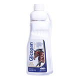 Glicopan Energy 1 Litro Vetnil