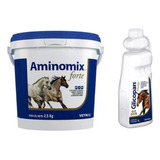 Glicopan Energy 1l + Aminomix Forte