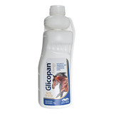 Glicopan Energy 1l Vetnil