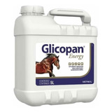 Glicopan Energy 5 Litros ( Vetnil
