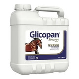 Glicopan Energy Galão 5 L - Vetnil