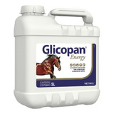 Glicopan Energy Galão 5 Lt - Vetnil 