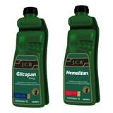 Glicopan Energy Jcr 1l + Hemolitan