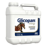 Glicopan Energy Vetnil 5lt