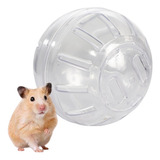 Hamster