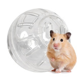 Hamster