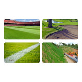 Futebol