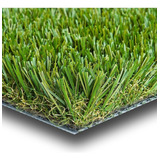 Grass