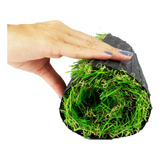 Grama Sintetica 30mm Softgrass 2x4 =