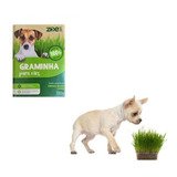 Graminha Para Cachorro Petisco Pet Grama Auxilia Digestao