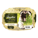 Graminha Para Cães Digestive Grass 50g
