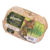 Graminha Para Gatos Digestive Grass 50g 100% Natural