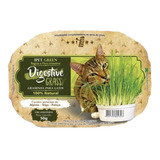 Graminha Para Gatos Digestive Grass 50g