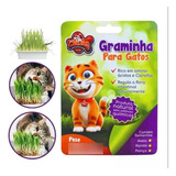Graminha Para Gatos Grama Eliminação Pelos Digestão Saudável