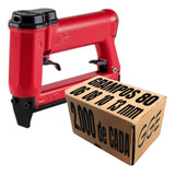  Grampeador Pacar + Grampos 80/6 80/8 80/10 80/13 2000 Cada