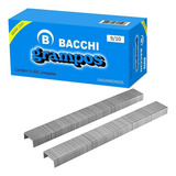 Bacchi