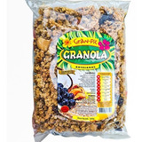 Granola Artesanal Gran Pic Embalagem 500g -castanhas, Coco D