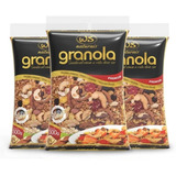 Granola Premium Ws Naturais 500g (