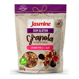 Granola Sem Glúten Cranberries E Açaí