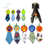Petshop