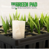 Green Pad Gerador De Co2 P/