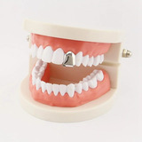 Dentes