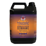 Gsx Shampoo Tangerine Desengraxante Concentrado 5l Easytech 