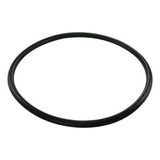 Guarnicao Vedacao Tampa Bomba Omega Leia A Descricao Ds1466