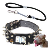 Guia Cachorros Coleira Spike American Bully Doberman Akita