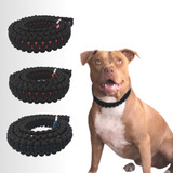 Cães